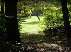 Flanders Nature Center